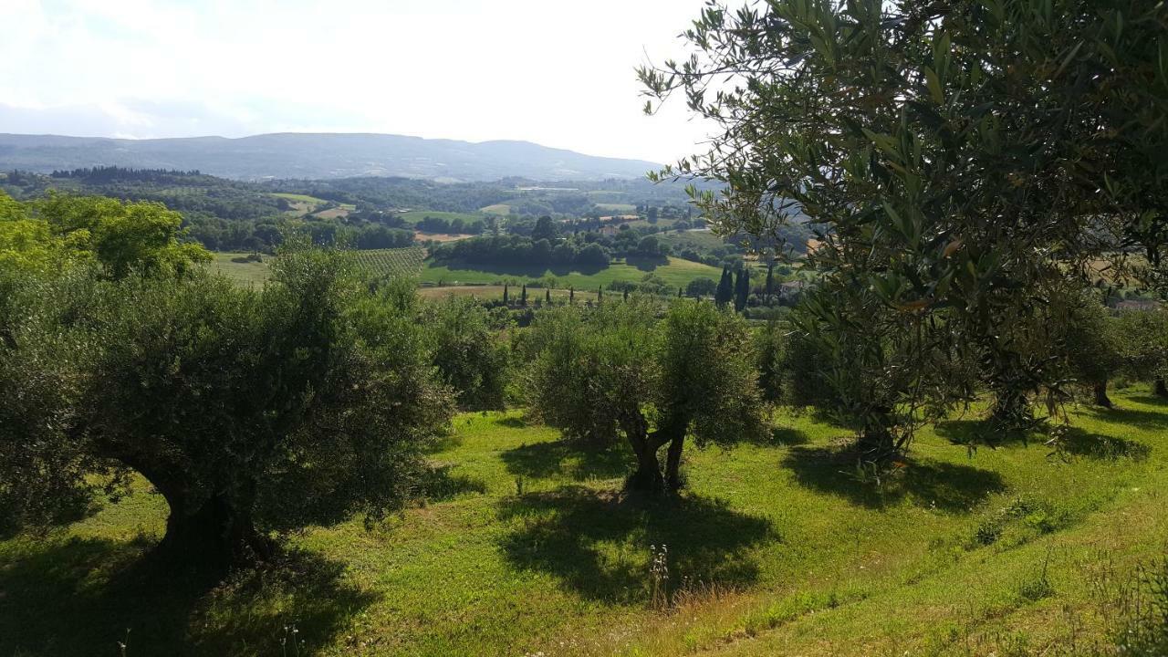 Montevenere 83 Villa Chiusi Kültér fotó