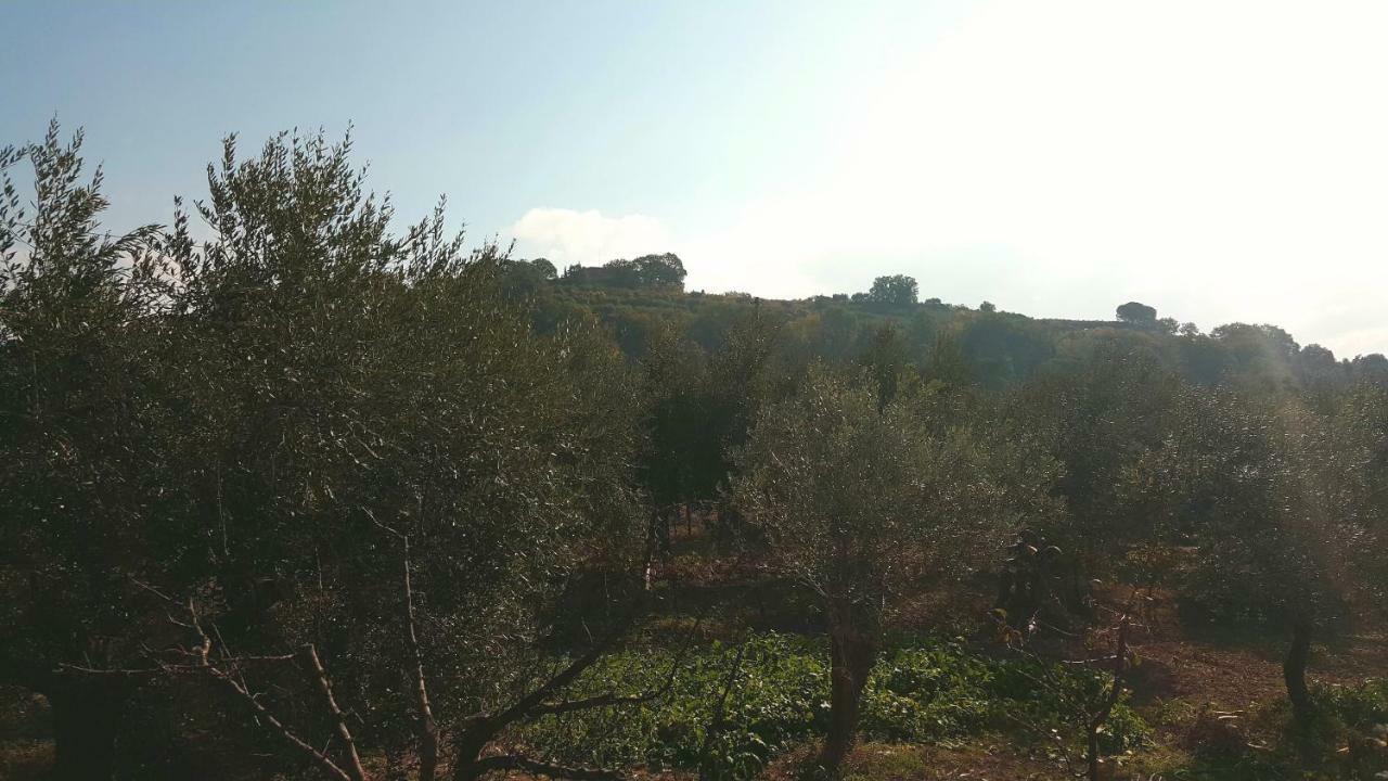 Montevenere 83 Villa Chiusi Kültér fotó